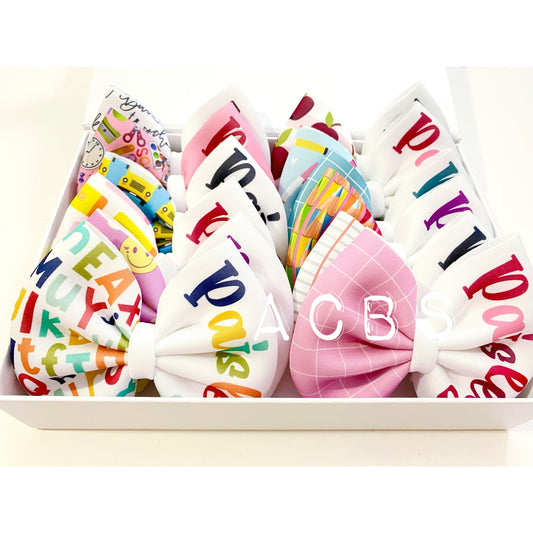 Back to school set (12 bows Custom) - ACBows&Supplies